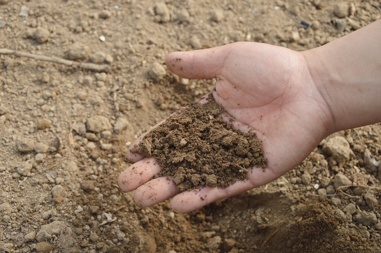  An open hand holding rich garden soil with a blurred background.